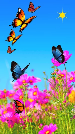 Butterfly Wallpaper