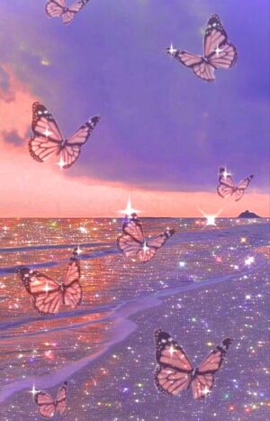 HD Butterfly Wallpaper 