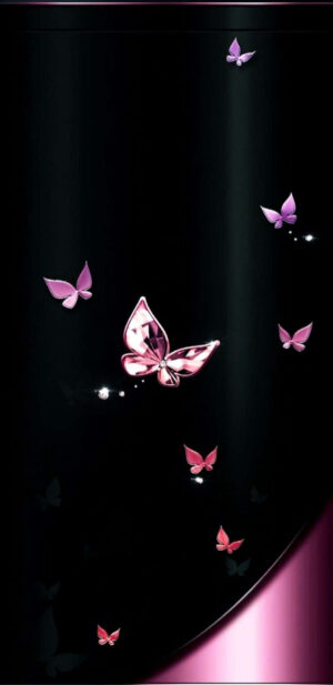 Butterfly Wallpaper 