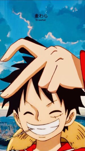 Monkey D. Luffy Wallpaper 