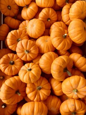 HD Pumpkin Wallpaper 