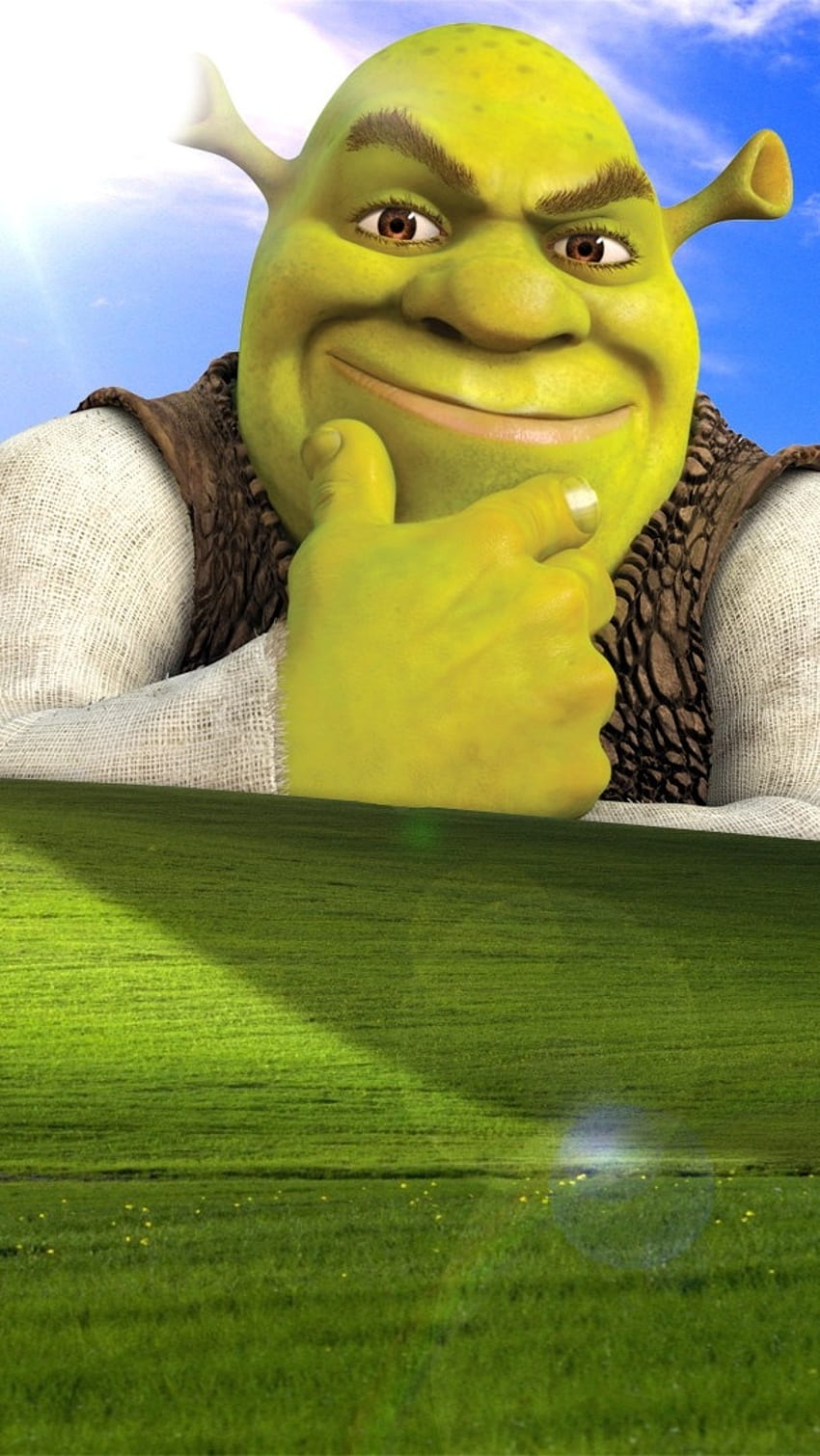 HD shrek memes wallpapers