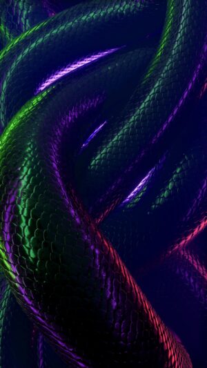 HD Snake Wallpaper 