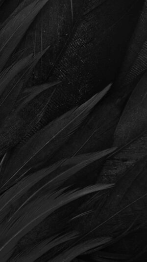 Black Background 