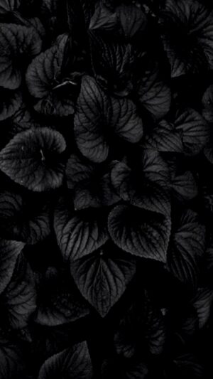 4K Black Wallpaper