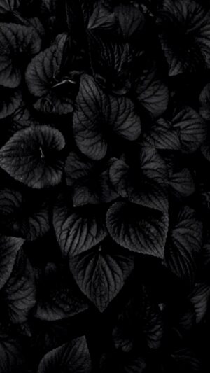 4K Black Wallpaper 