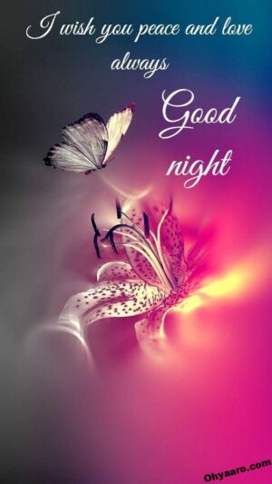 Good Night Wallpaper 