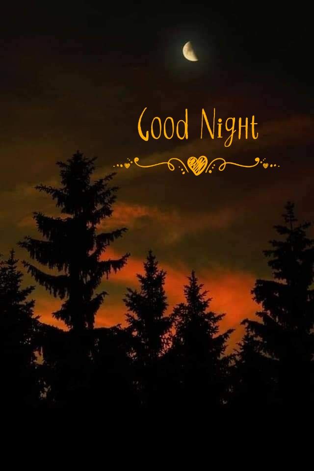 Good Night Wallpaper | WhatsPaper