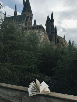 Harry Potter Wallpaper 