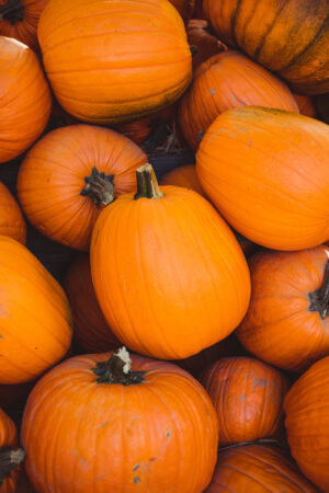 HD Pumpkin Wallpaper