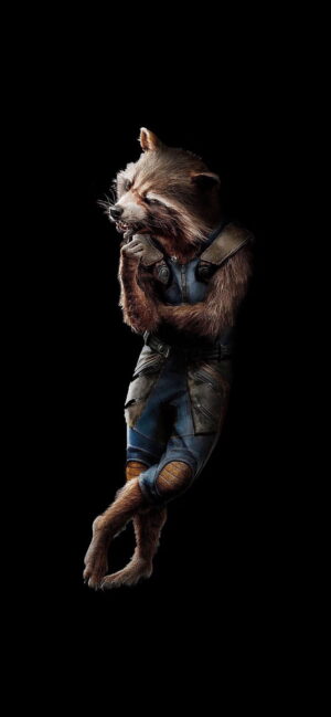 Rocket Raccoon Wallpaper 