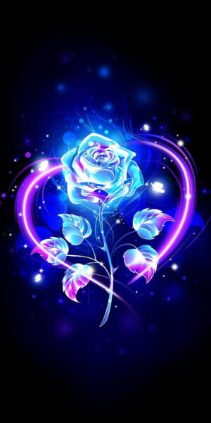 Rose Background 