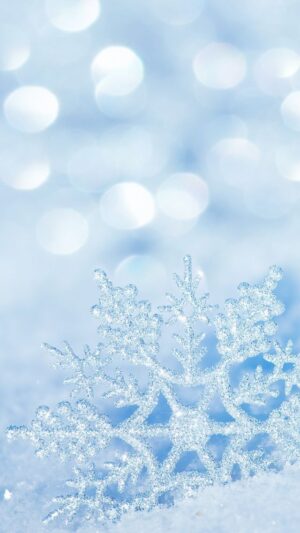 Winter Wallpaper