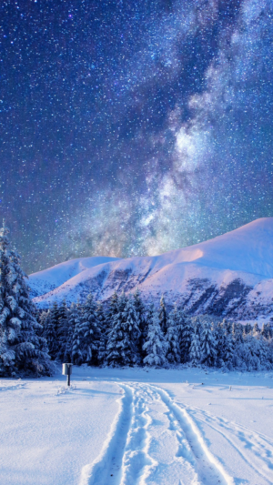 HD Winter Wallpaper