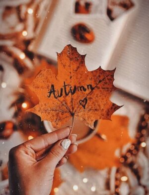 Autumn Leaf Wallpaper 