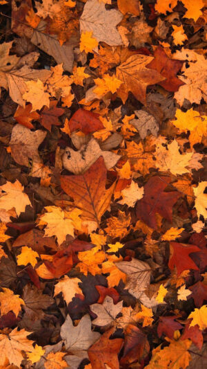 Autumn Leaf Wallpaper