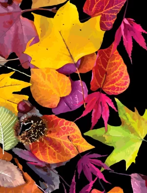 Autumn Leaf Wallpaper