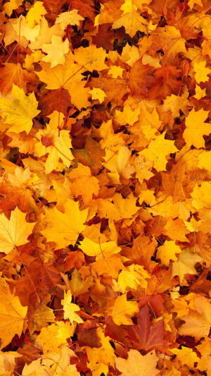 Autumn Leaf Background