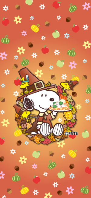 HD Snoopy Thanksgiving Wallpaper 