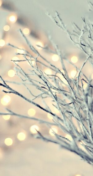 Winter Wallpaper