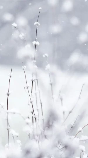 Winter Wallpaper