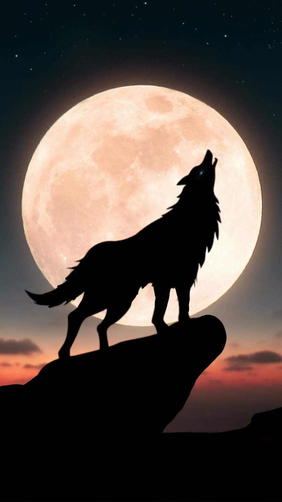 Animal Wolf HD Wallpaper by Abyss-cheohanoi.vn