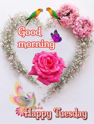 4K Good Morning Wallpaper 