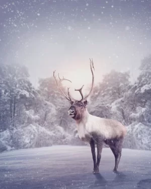 Reindeer Wallpaper