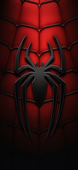 Spider-Man Background