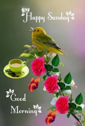 Good Morning Wallpaper