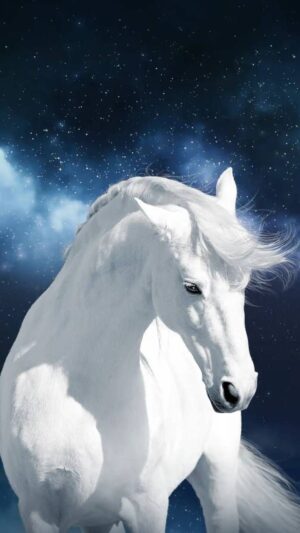 Horse Background