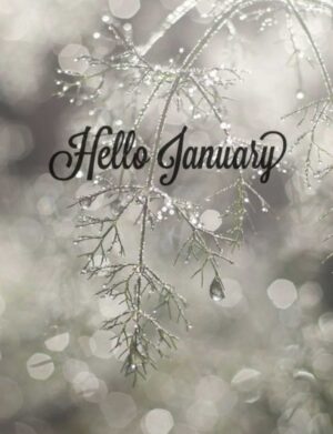 January Wallpaper