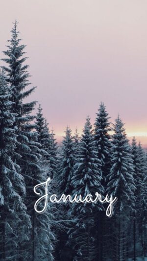 January Background