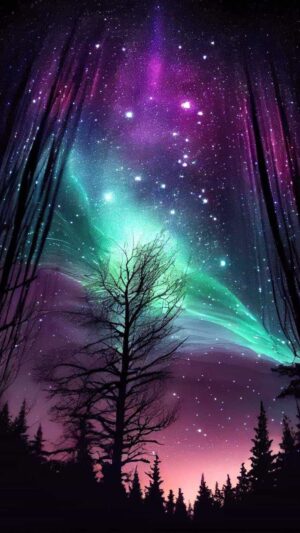 4K Northern Lights Wallpaper