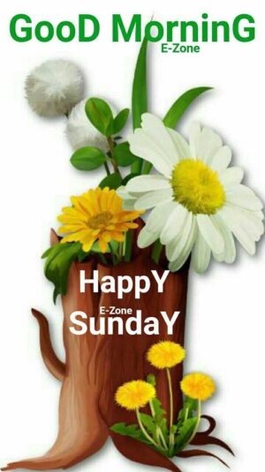 Sunday Wallpaper