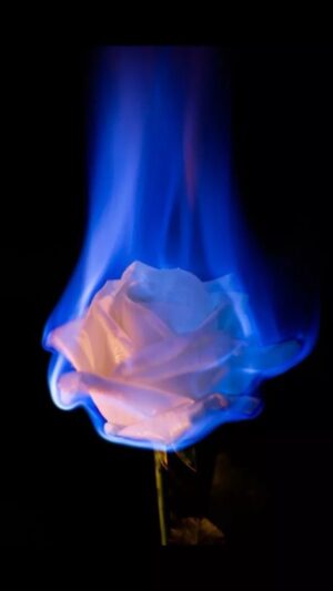 Candle Wallpaper