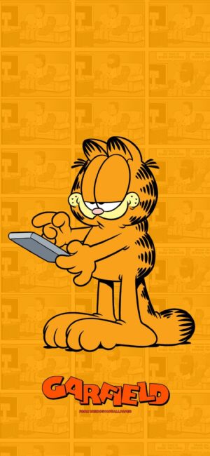 HD Garfield Wallpaper 