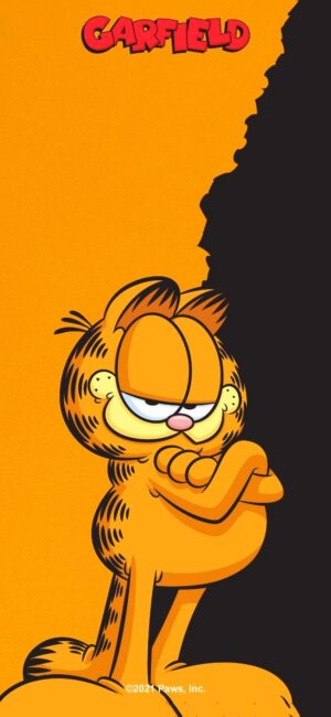 Garfield Wallpaper 