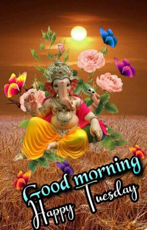 HD Good Morning Tuesday Wallpaper 