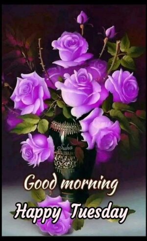 Good Morning Tuesday Wallpaper
