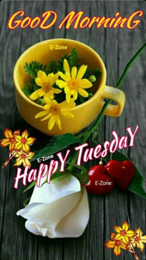 4K Good Morning Tuesday Wallpaper 