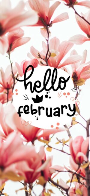 Hello February Background