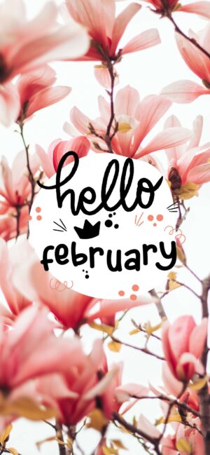 Hello February Background 