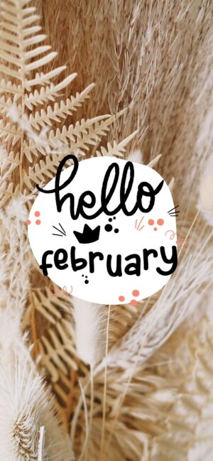 4K Hello February Wallpaper