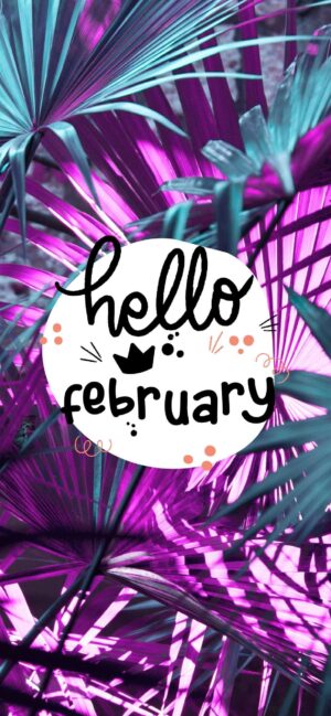 4K Hello February Wallpaper