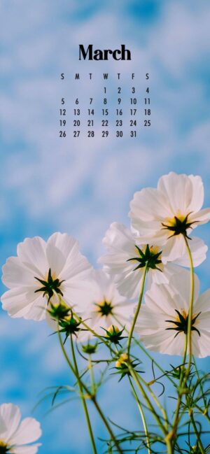 March Background