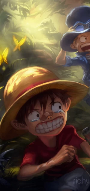 HD One Piece Wallpaper 