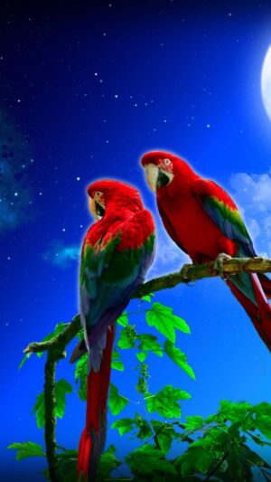 Parrots Wallpaper