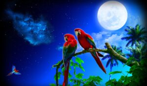 Desktop Parrots Wallpaper