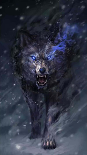 Wolf Wallpaper